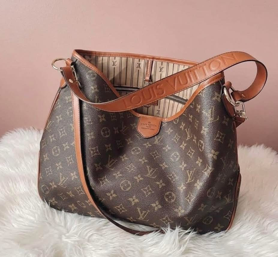LV Purse