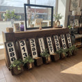 Framed number planters 25”x8”